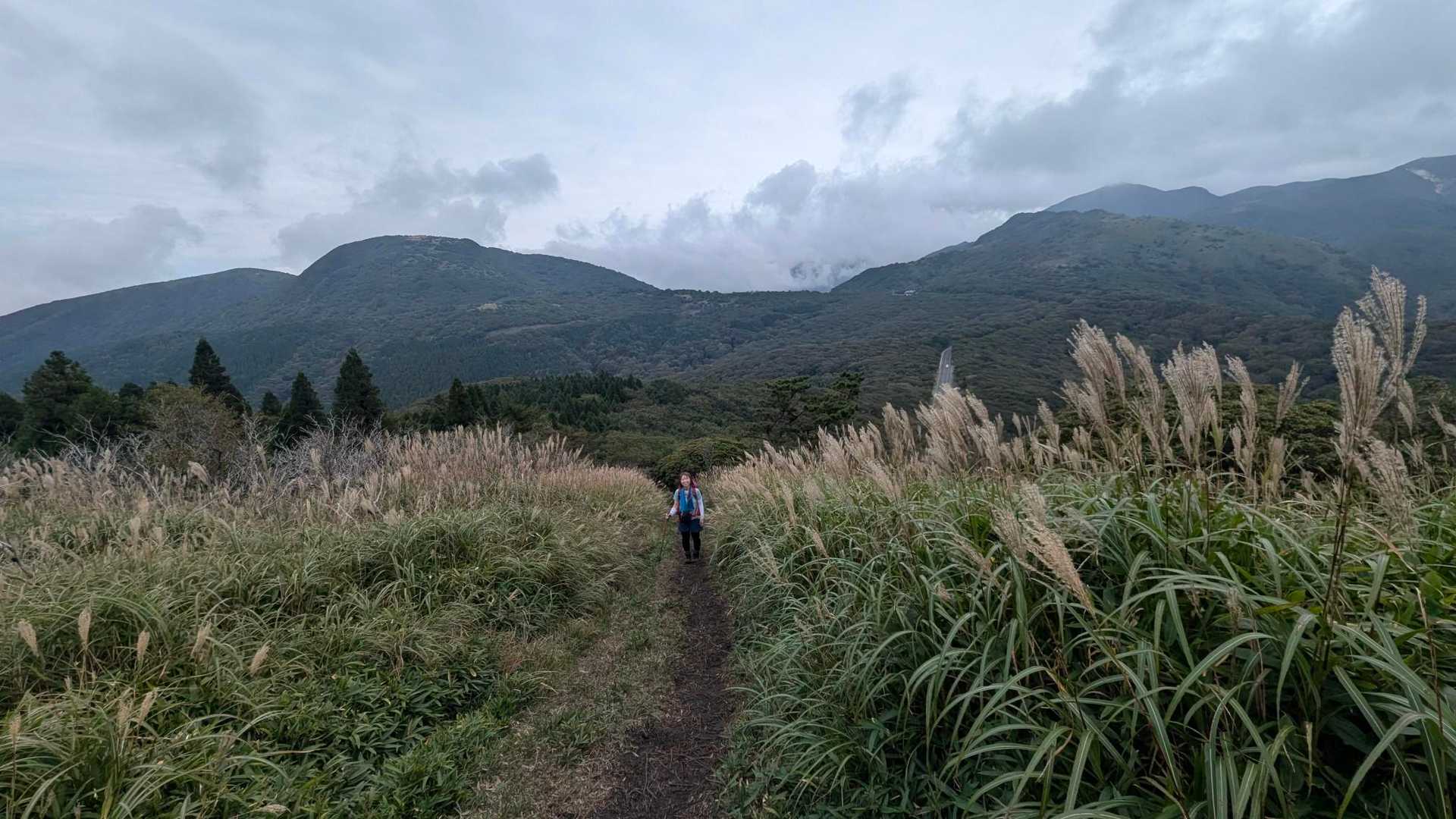 ススキ🌾がいい感じ🎶
