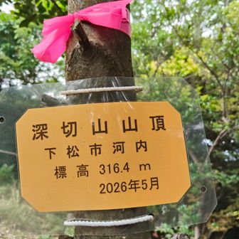 深切山 317m
真新しいラミネートがあります