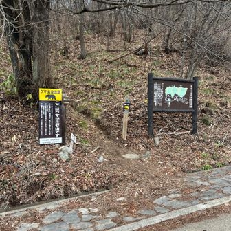 登山口です。駐車場はありません。邪魔にならないところに停めましたが周回するなら岩松院さんのほうに停めるのもありか。その場合はちゃんと参拝しなきゃ申し訳ない。