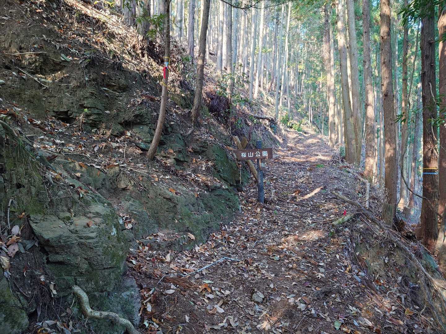 登山道は子供にも優しい👧👦