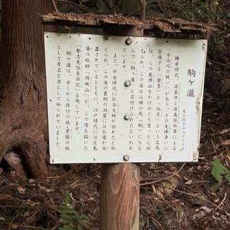 ふむふむ🤨
高さ36m。
駒とは、鎌倉時代の名馬の２頭が、この山を走りまわって育ち、ニ頭の馬の事を駒という事からついた名前。
ここにも、弘法大師が訪れたそうだ。
修行の瀧らしい。
