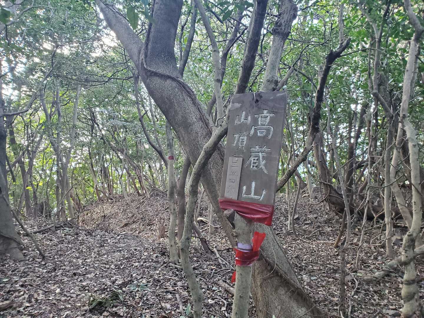 平らな山頂付近はﾋﾟﾝﾃを追って行けるので迷わず登頂🎊