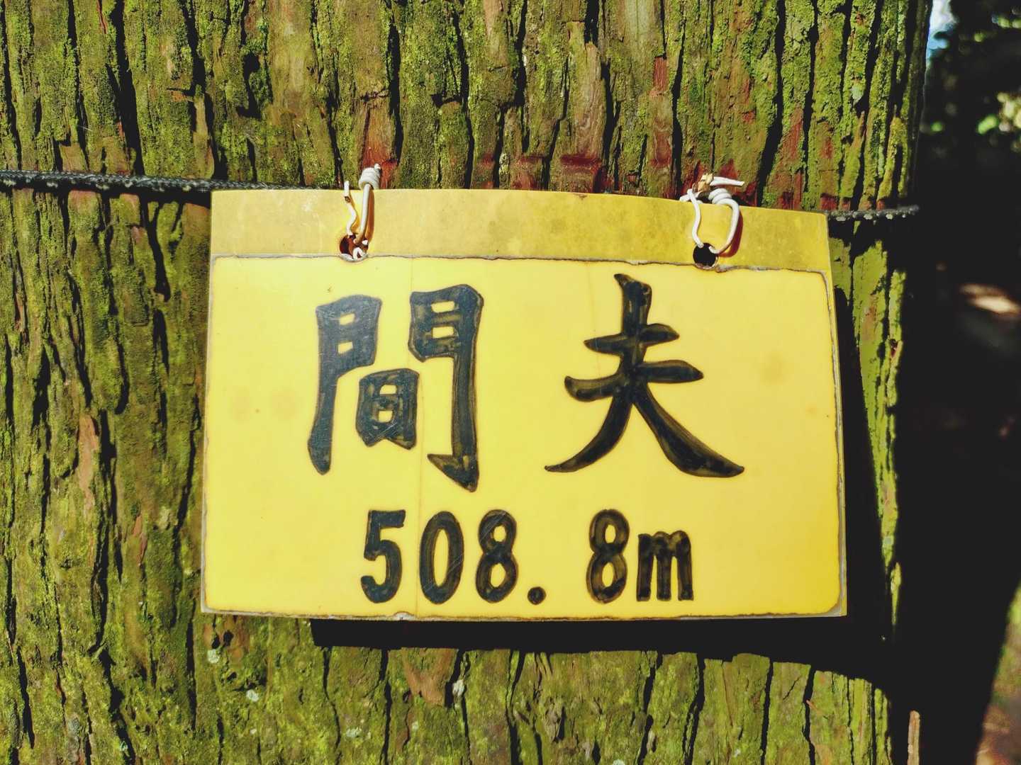 間夫（マブ）山頂　505.8㍍　