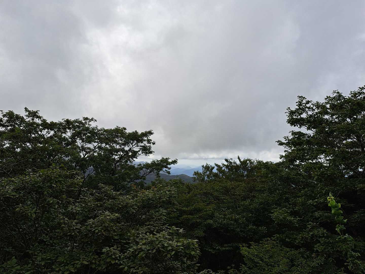 護摩壇山バス停-ごまさんスカイタワー登山口-護摩壇山 往復コースの写真