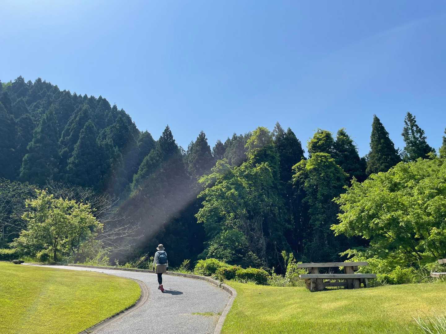 芝生の気持ちのいい所
を歩きます😊