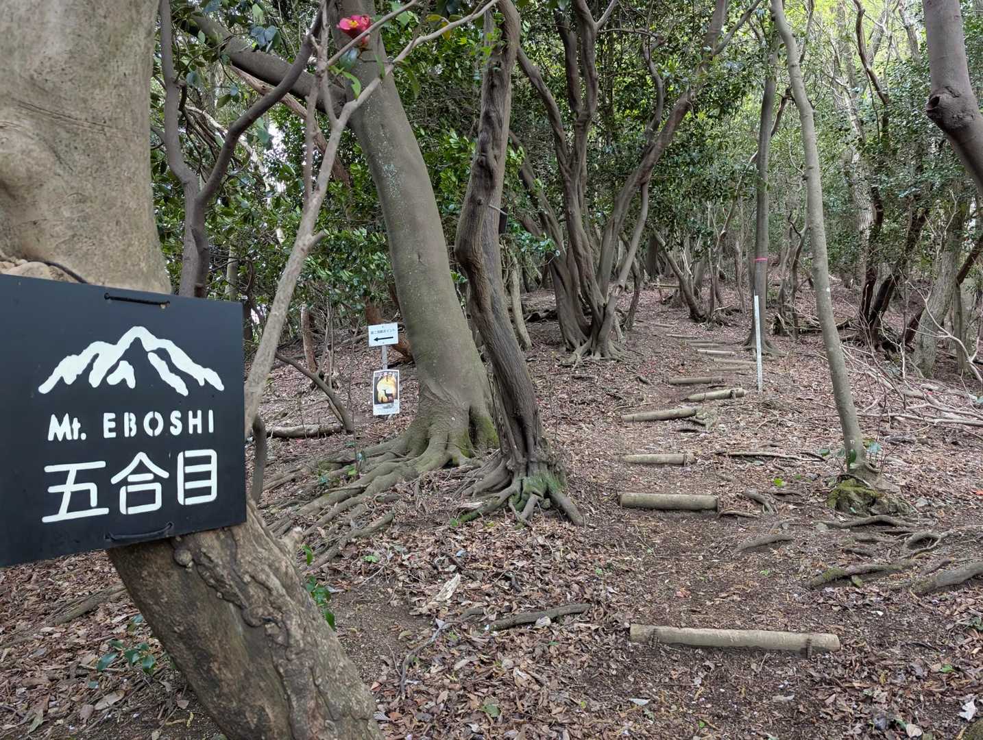 まぁまぁ急登有り😂で、5合目！