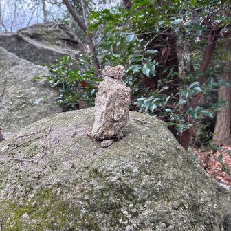 上手いこと立ててる！