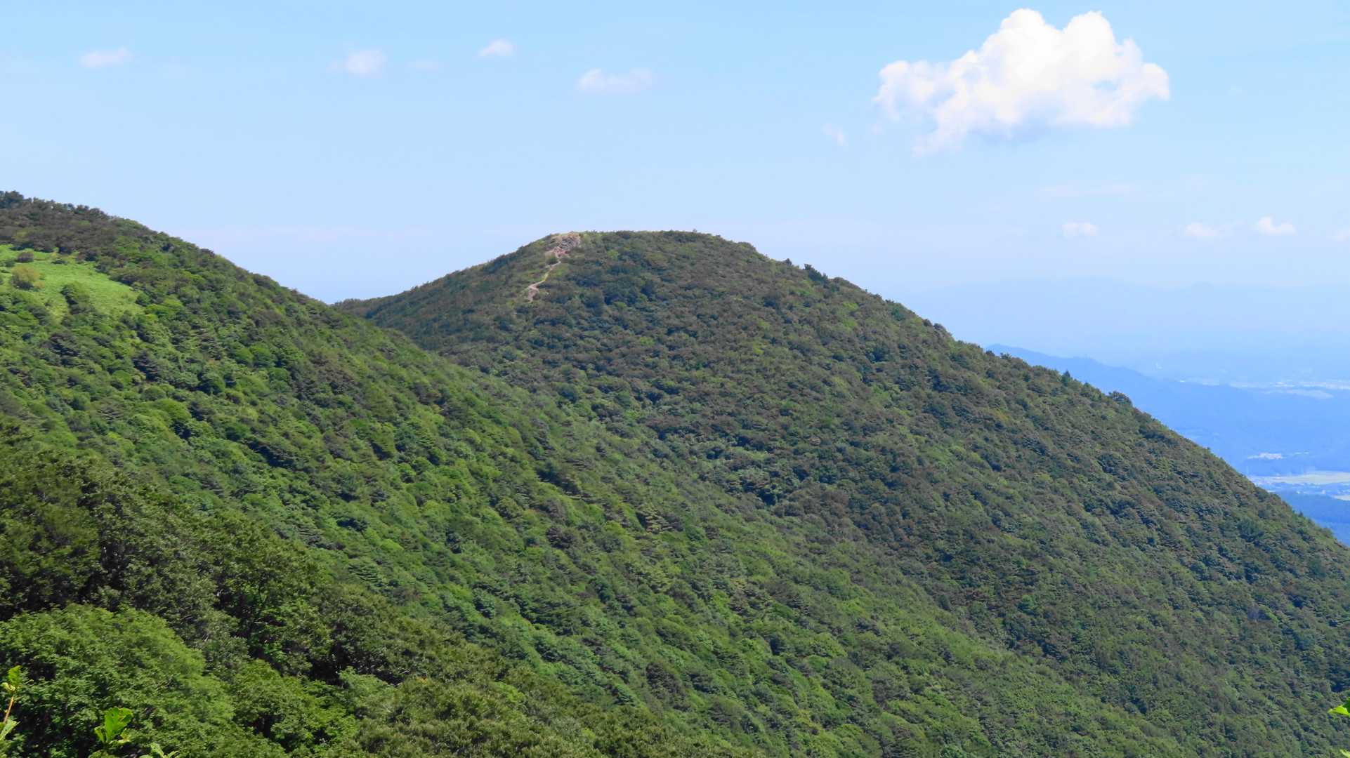 御霊櫃峠-大将旗山-額取山 往復コースの写真
