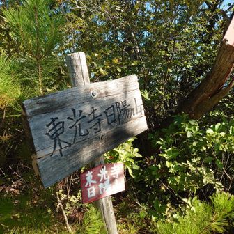 こちらもお久しぶり⛰️