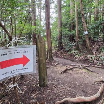 京都一周トレイル41の標識のある蹴上からの道に合流
今日はトレランやってるみたいでこの標識をたくさん見かけました
走ってる🏃人も