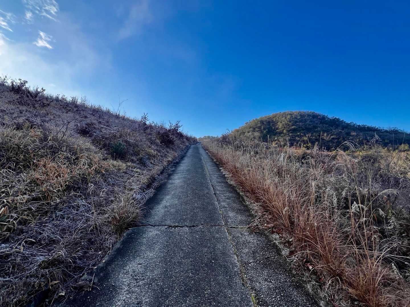 凍てつくダムの道を行く。