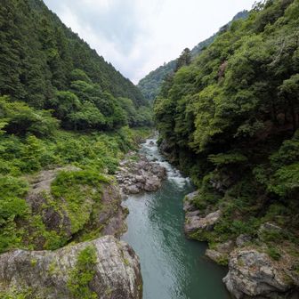 吊り橋から見た景観。