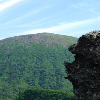ガオー岩🌸

いつも愛おしく  韓国岳を見つめてる⚆⚆＊
