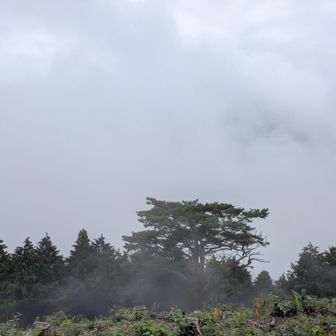 赤松✨️