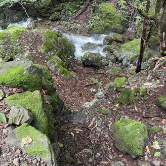 沢に降りられる