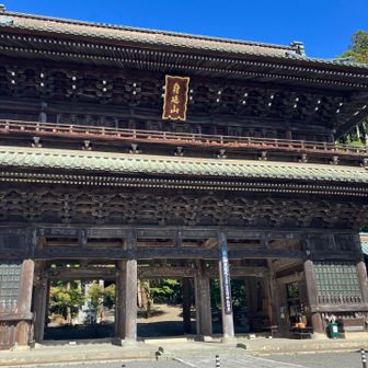 来たところだな