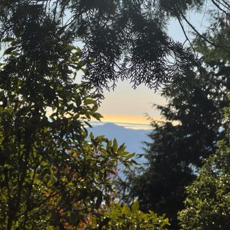 今日は、朝、寒かった🥶
登っていると暑いんですけどね🥵
海が輝く✨季節になりましたね😊