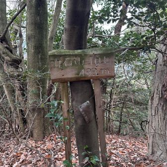 二座目 立石山（433m）
ここも景色がなく足早に展望所へ向かいます🚶‍♂️