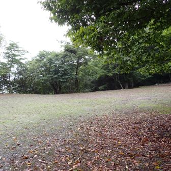 駐車場
未舗装だけど良く正場されてます。
広い。