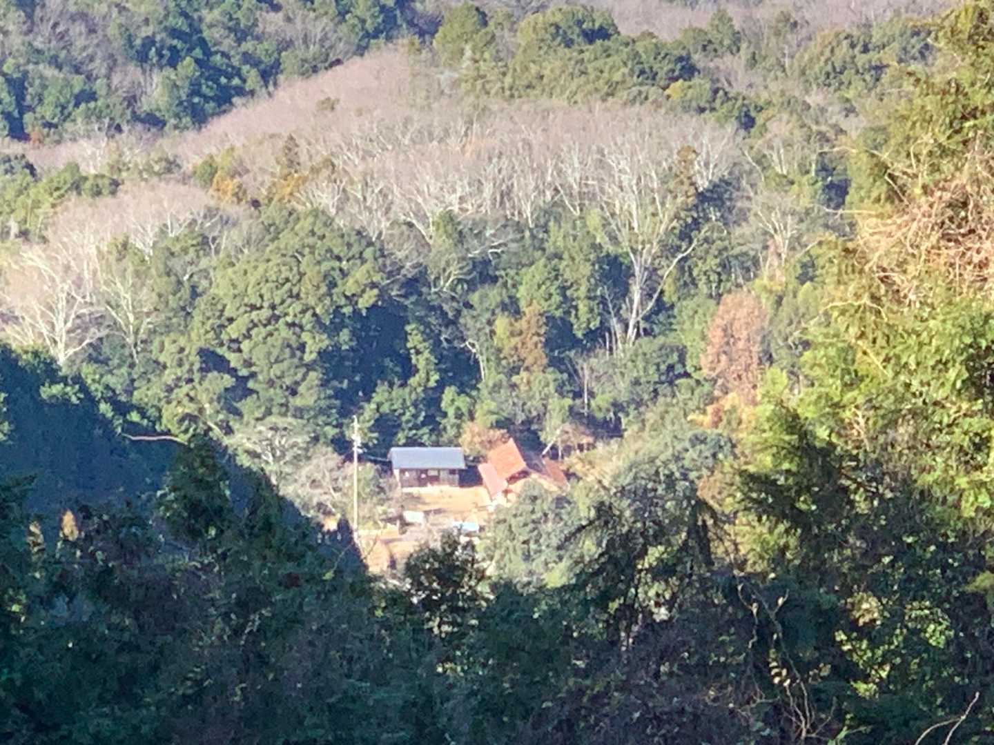 海上の森登山口-物見山 往復コースの写真