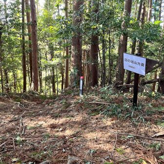 今日は日の出山には向かいません。