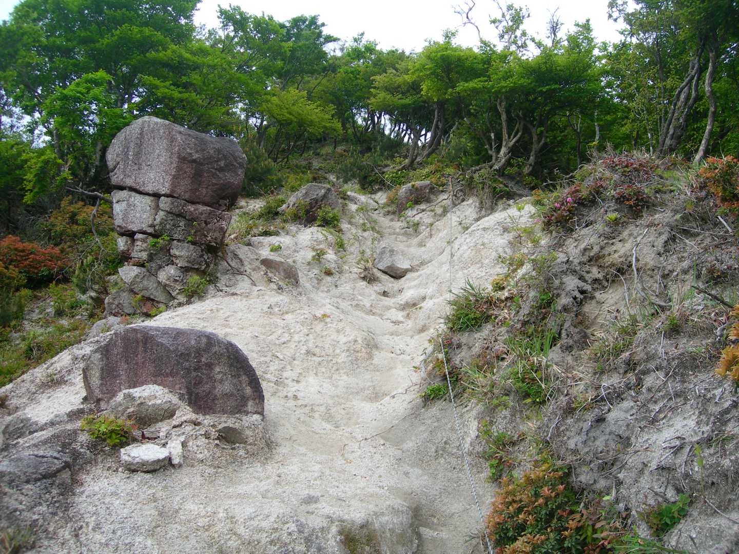 石榑峠-三池岳-八風峠-北仙香山-中峠 往復コースの写真