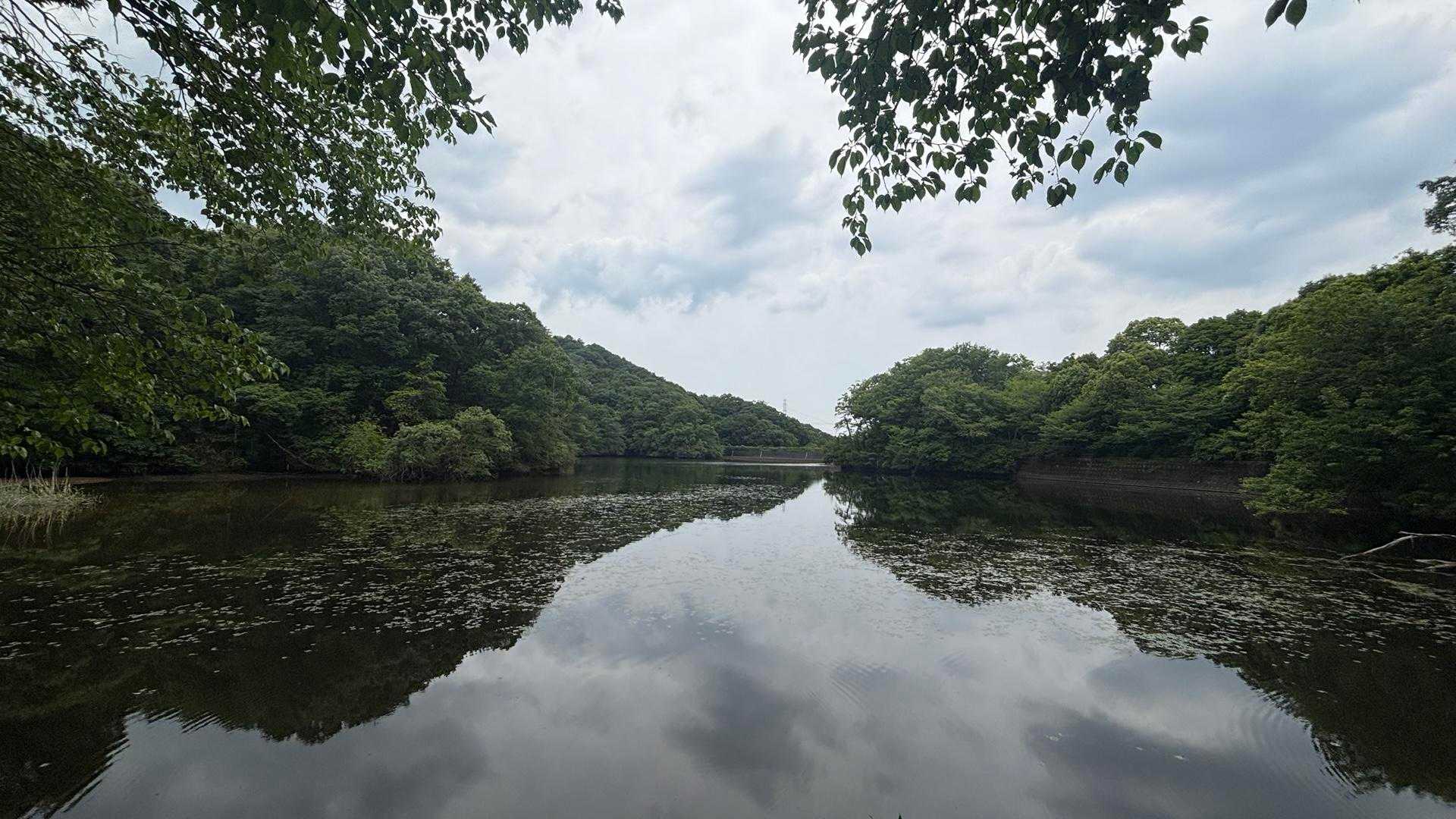 楽しい