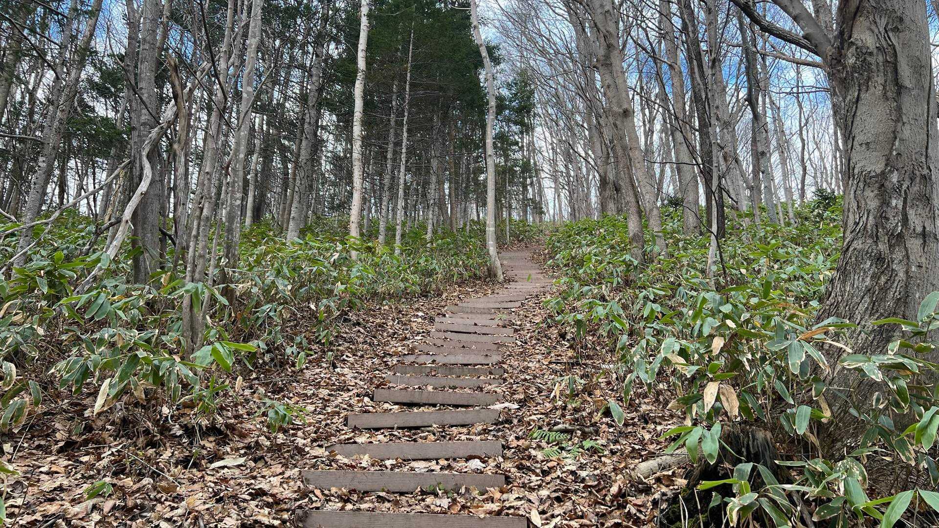 なかなかの急階段😅