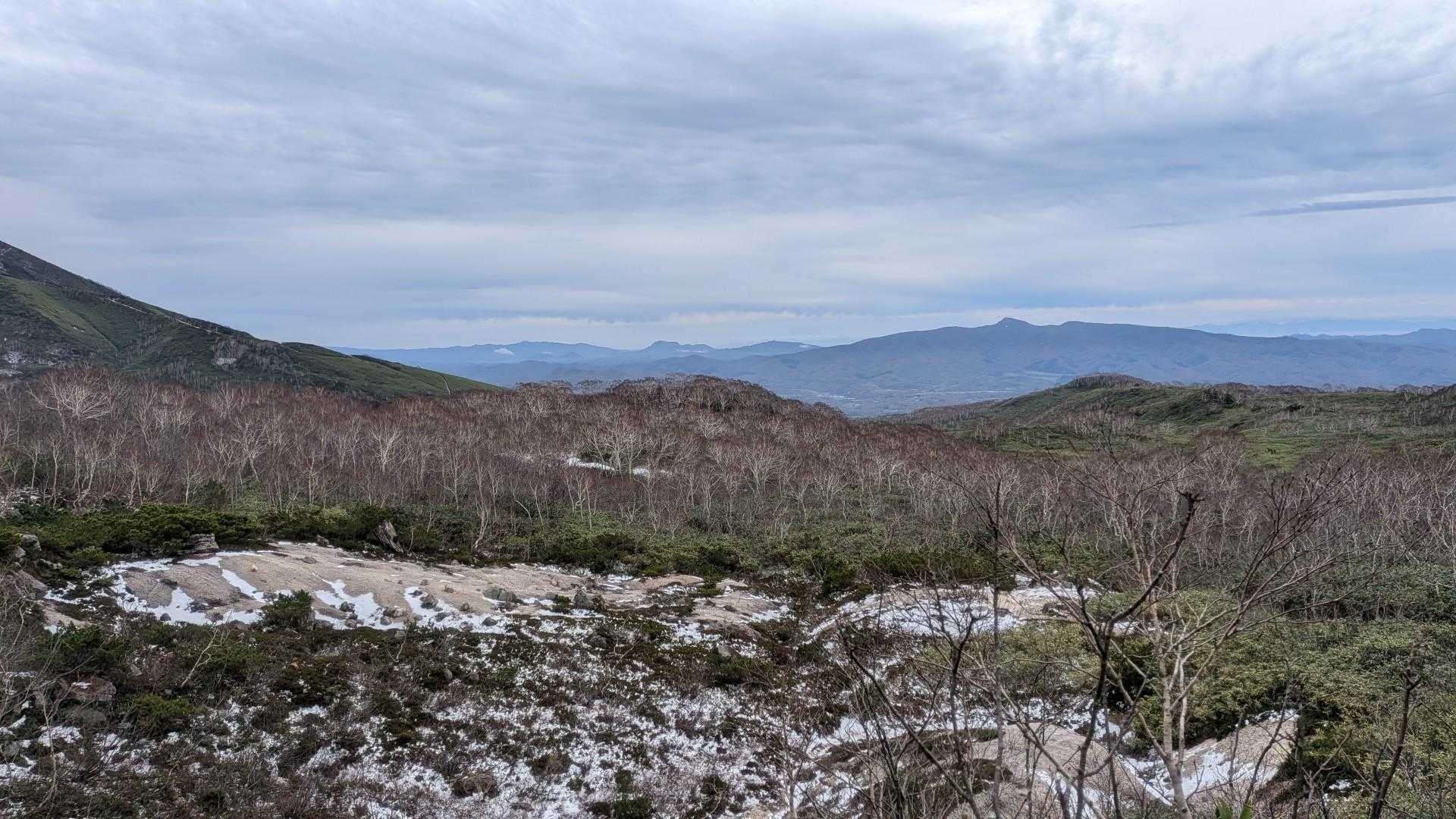 分岐付近はほぼ雪なし