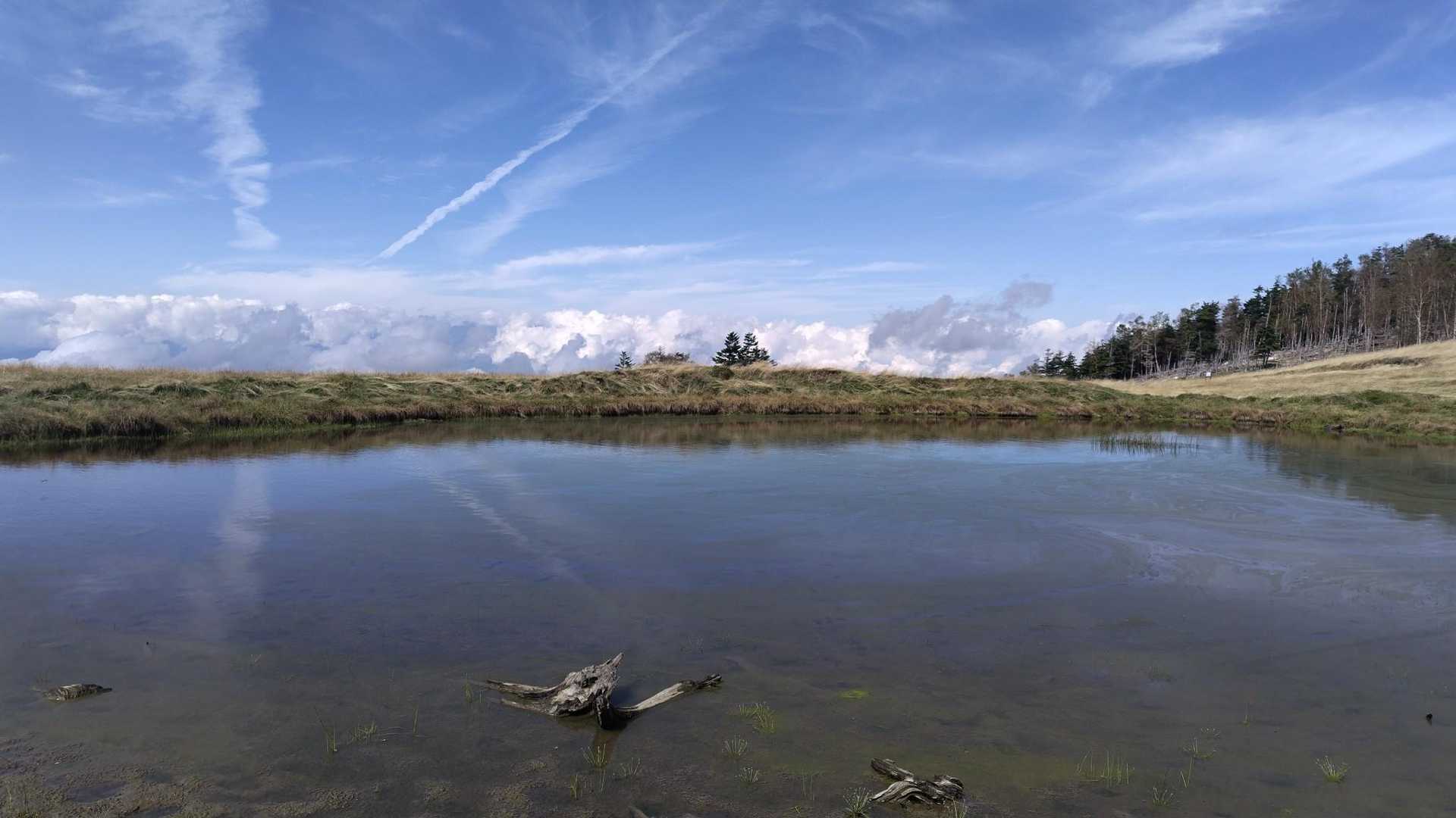 朝より波立ってます🌊