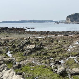 城ヶ島が見えます