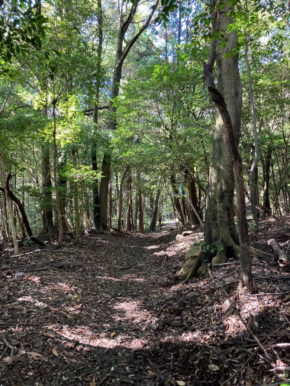 宮路山 往復コースの写真