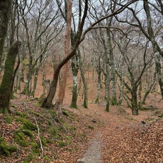 ずっとこんな感じ。