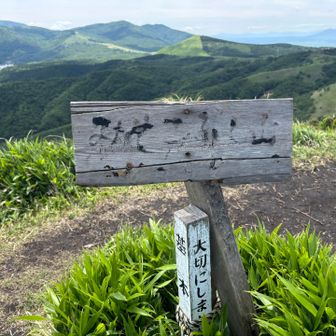 みそこぶし山！
登頂！

ここで、九重連山をオカズに
お昼ごはんにします。