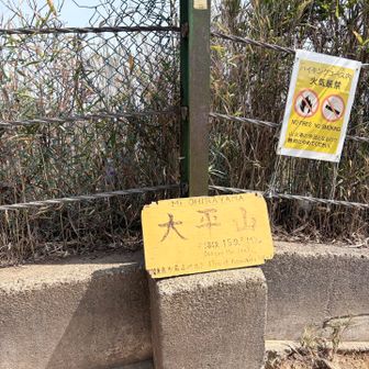 大平山の山頂はみんな手持ちで写真撮るので、山頂がズレてるかも知れません😆