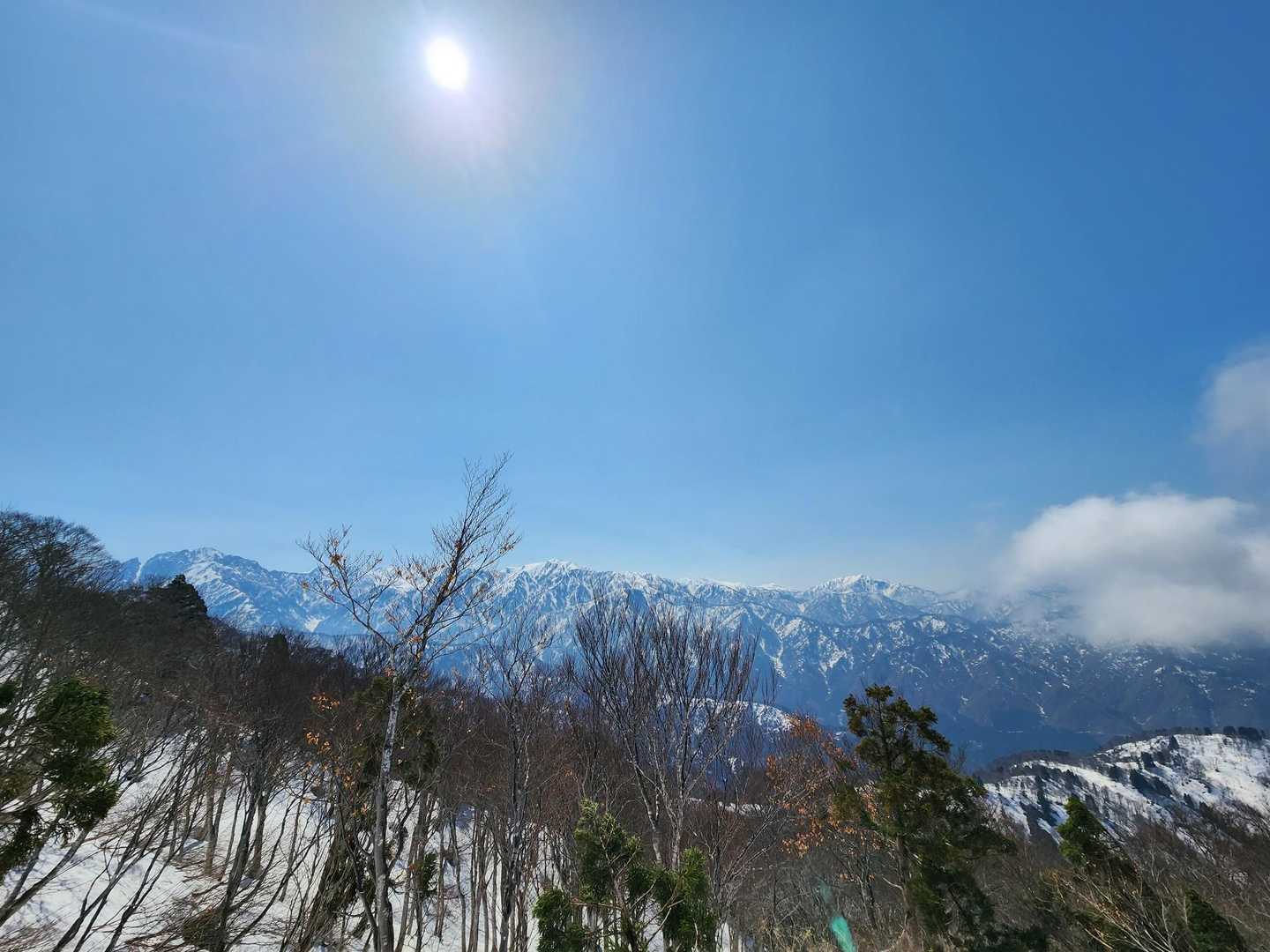 ぐはぁ‼️これは良き率
ぶっちぎり確定でしょ🎵