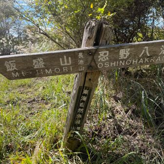 そんでまた降って少し登って長池山
こちらはもっと雑な感じ…