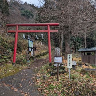 登山口は参拝道なので鳥居があるのね