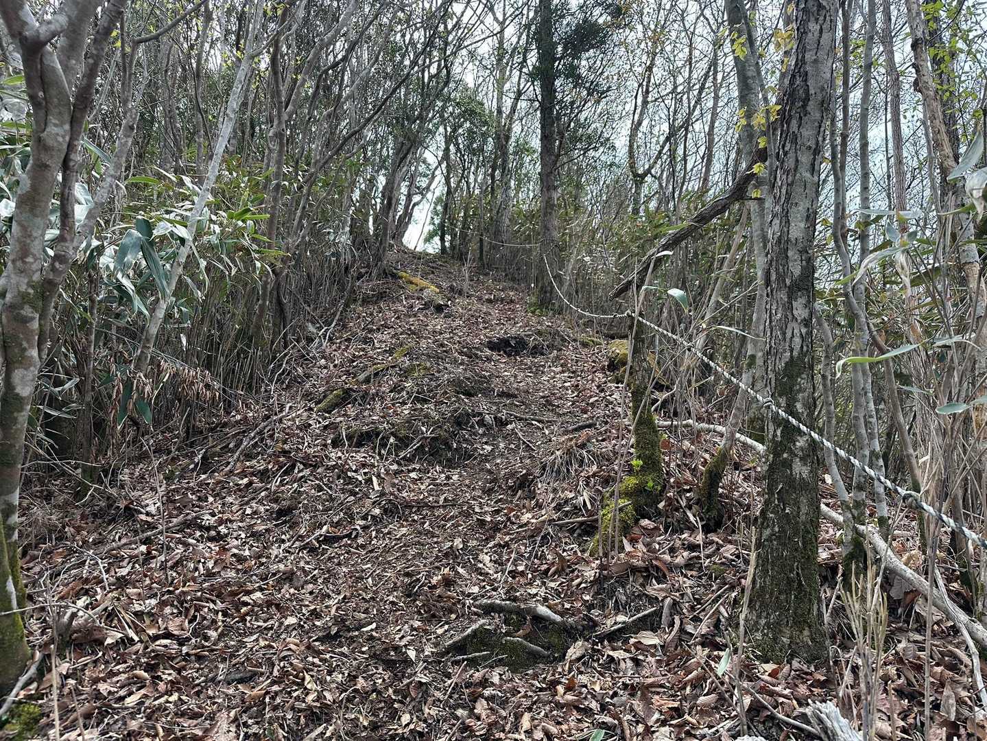 イノシシ🐗君に遭遇してから、ゆっくり登るはずが、足早に、、、
心臓バクバクがとまらない😭
この急登、ロープがないと登れない💦