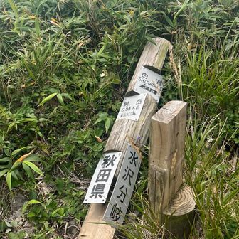 分岐
何年か前にこっちの水沢ルート案内してもらって来たことある
でも、天気悪くてガッス💨🙈︎ﾒﾈ
だったなぁ～😁
でも