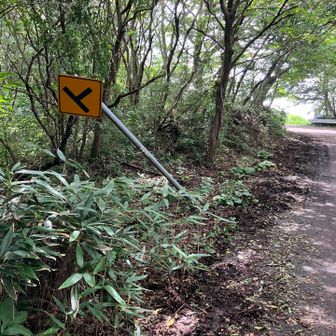 飛んで行けと？