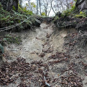 下山は岩ヶ峰ルートで！