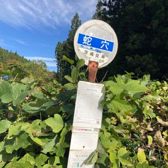 蛇穴のバス停。一日4本。