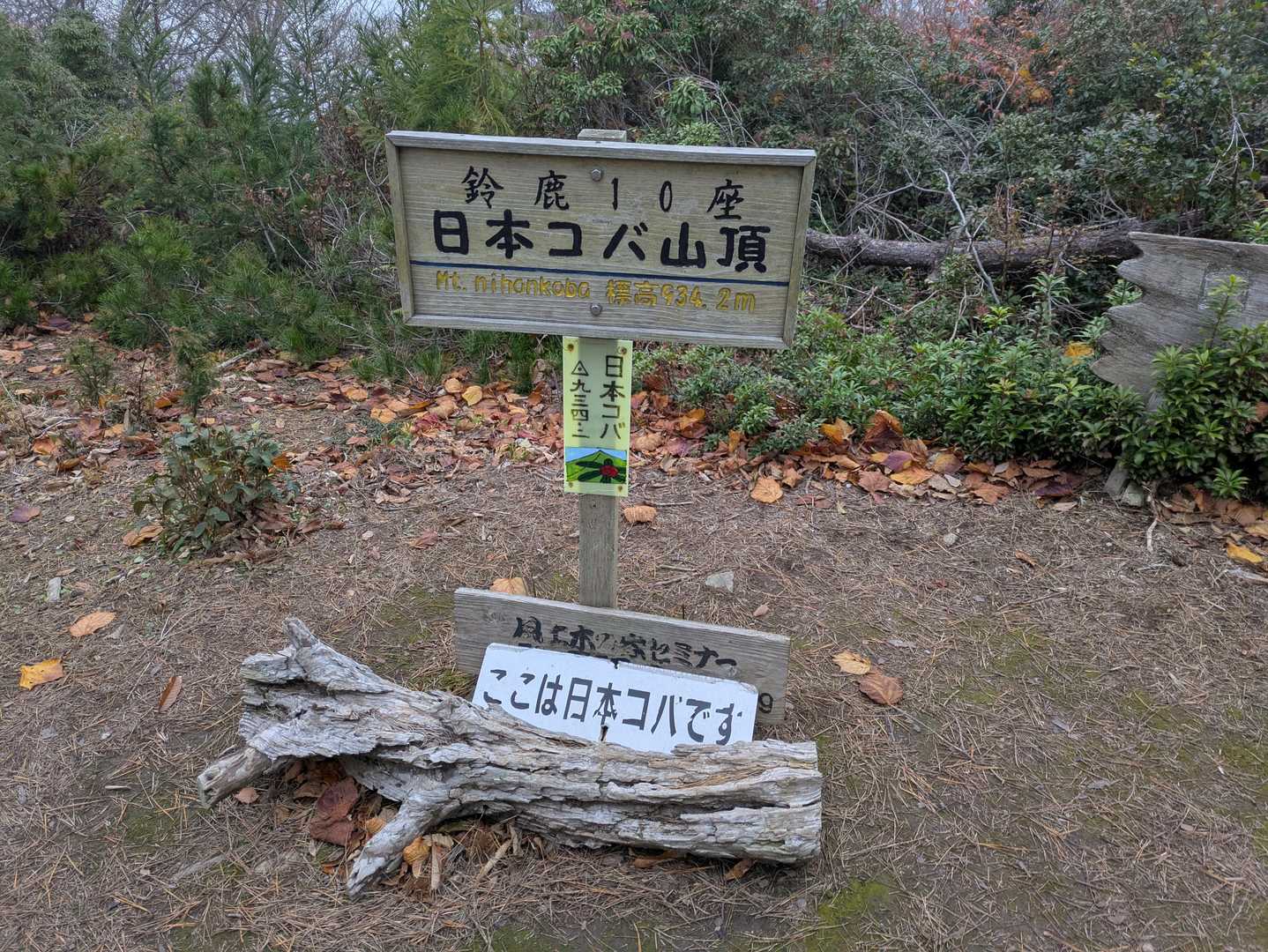 日本コバという名前の由来は定かではないのですが、登山口周辺は木地師（ろくろなどでお椀や木材加工品を作るひと）発祥の地と言われており、古くから木工の盛んな土地柄です。コバとは木場、つまり伐採地や木材加工の場所のことなので、それが山名の由来になっていると思われます