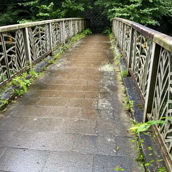 橋の下は道路