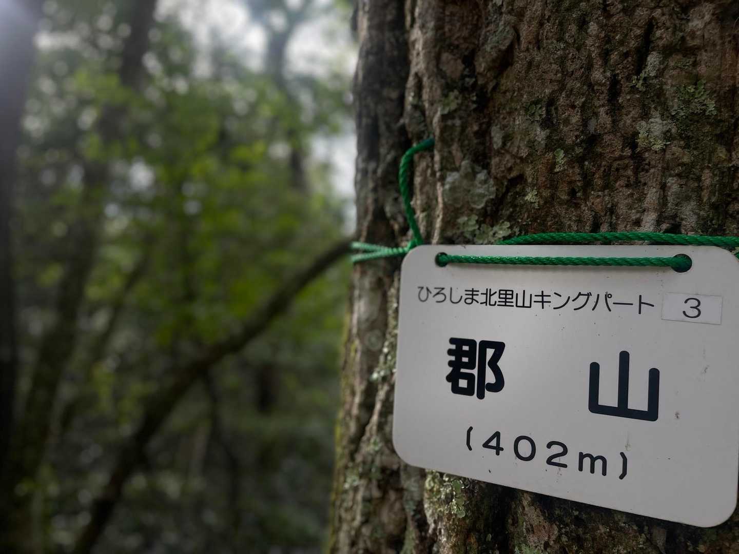 あっという間に山頂