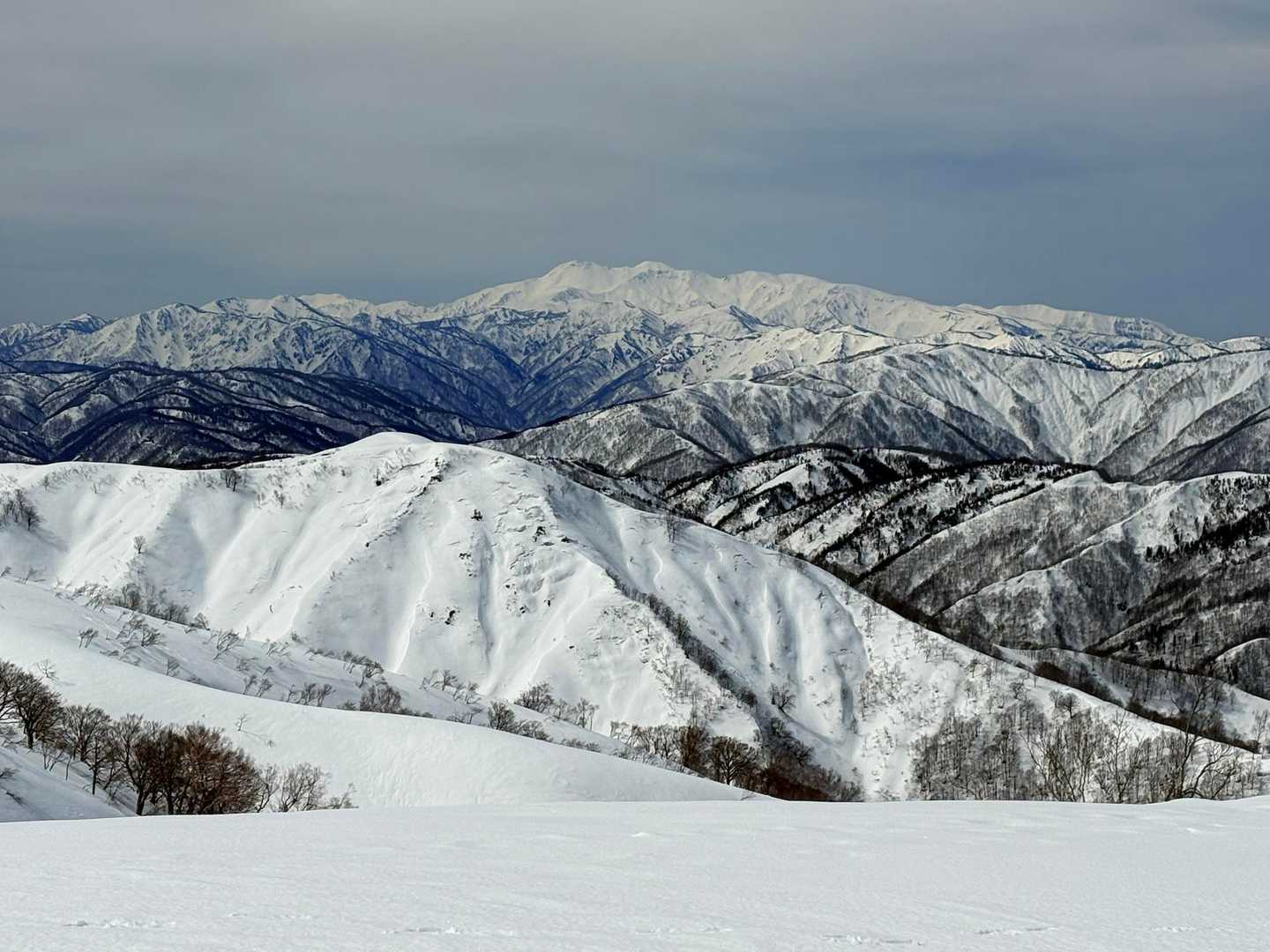 正面の山は白山