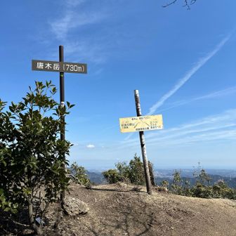 そんなこんなで唐木岳山頂