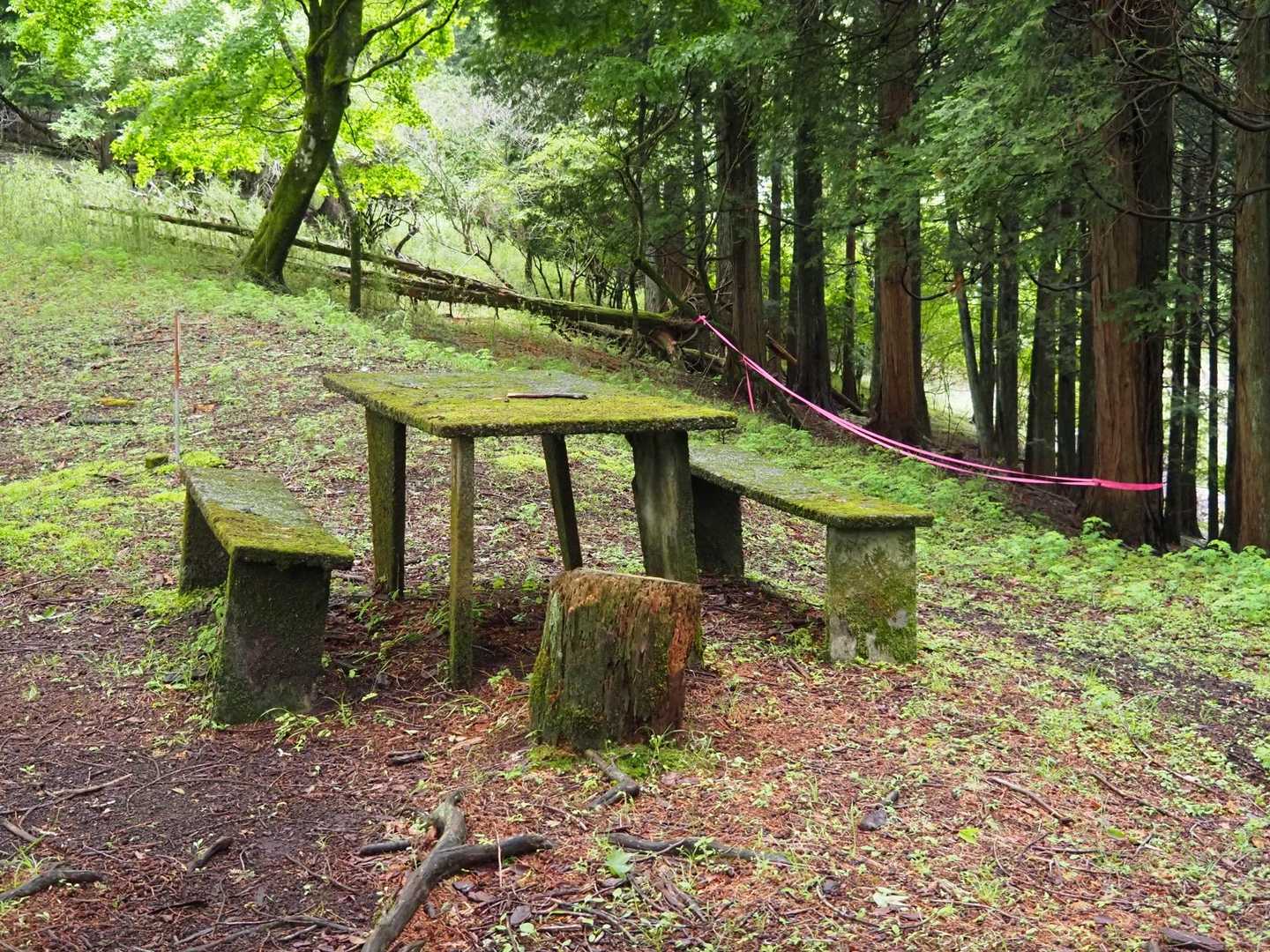明神峠-明神山-湯船山-白クラノ頭-峰坂峠-サンショウバラ 縦走コースの写真