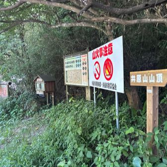 ゴールしました。あまりに暑く、疲れました。
だが楽しいトレッキングだった。